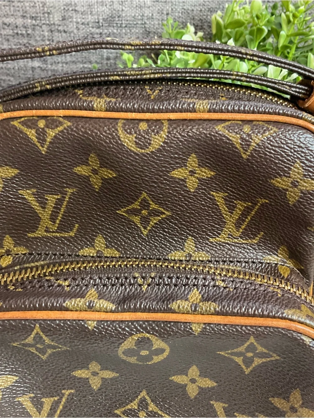 Louis Vuitton Monogram Amazon Bag